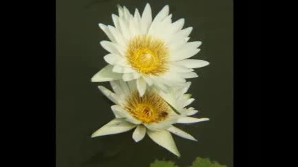 _-2