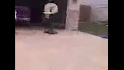 Ball Bounces from Roof into a Hoop 