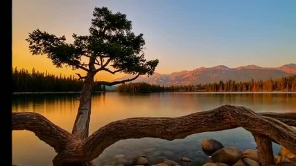 Alone In Another World