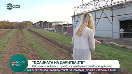 Розопроизводството в криза