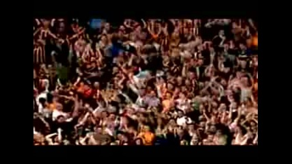 A Tribute To The Tigers Of Hull City