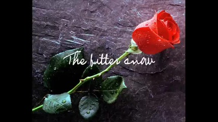 Leann Rimes - Some Say Love The Rose 