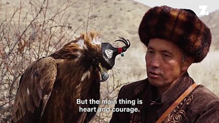 Pets with Professions: Wild Eagles are hunters in the Kyrgyz mountains