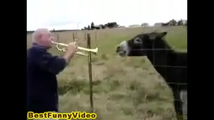 Много Добър Дует