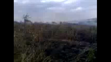 xotanca 