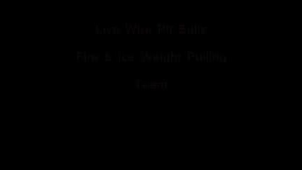 Florida Pit Bull amp Bully Fun Show amp Weight Pull May10th 08.flv