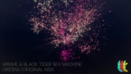 Apashe & Black Tiger Sex Machine - Origins