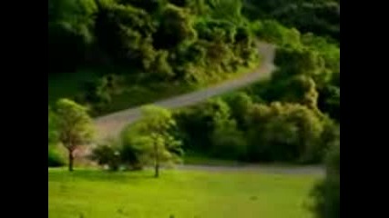 winx