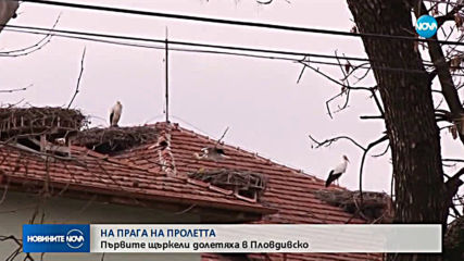 Новините на NOVA (15.03.2019 - 9.00 ч.)