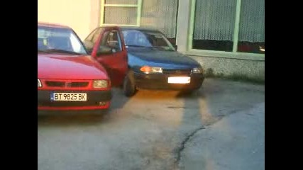 Gorna stydena 