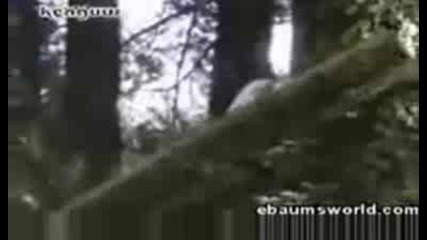 Most Funny Accidents Part 2