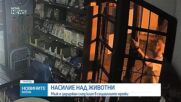 Задържаха мъж заради проверка за изтезаване на животни във Варна