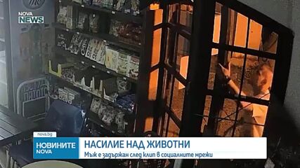 Задържаха мъж заради проверка за изтезаване на животни във Варна