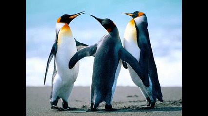 Hot hit mix 2012