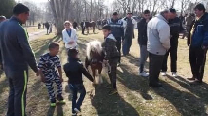 Състезания с каруци за Тодоровден край Варна - видео БГНЕС