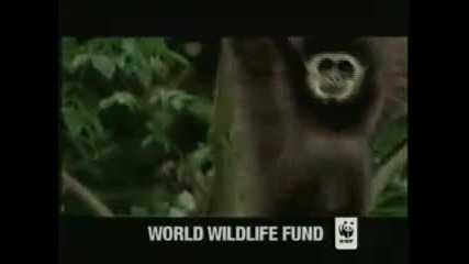 Wwf - Спасете планетата
