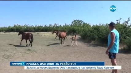 Фермери пребиха до смърт крадец в Пловдивско