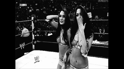 bella twins