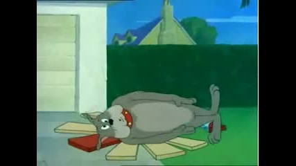 Tom i Jerry (пародия)