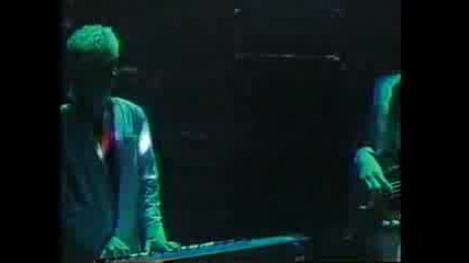 Paul Young - Every Time You Go Away Live