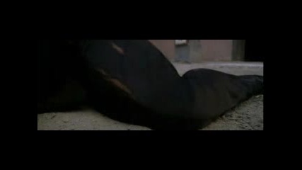 невероятни трикове по кунг фу 2