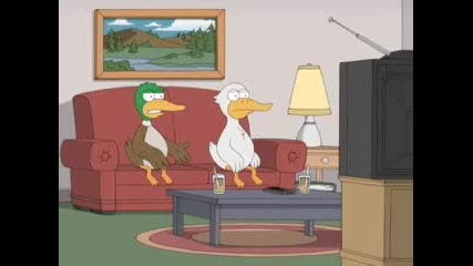Ducks Intolerant Cavalcade
