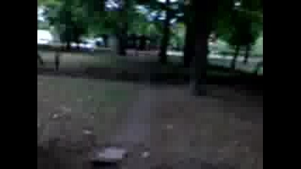 brat mi i bika