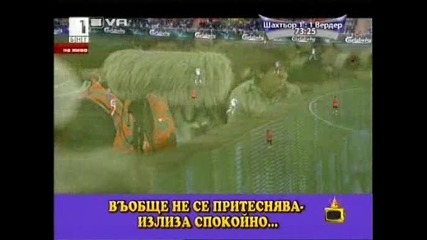 ** H Q ** Господари на ефира 05/06/2009 [смях] Котка се разхожда по футболен стадион по време на мач