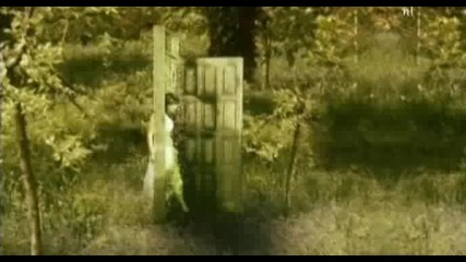 Wi†hin Temptation - The Howling
