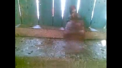 паламарски гълъби