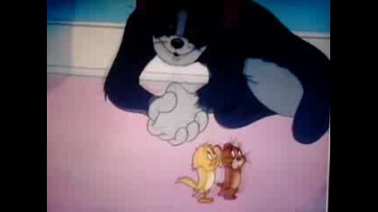 tom & jerry