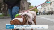 „Сканирай лапата“: QR код насочва към онлайн платформа с указания как да се реагира при животно в беда