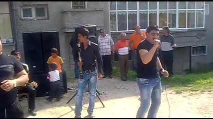erdjanlar albansko viv dryanovo