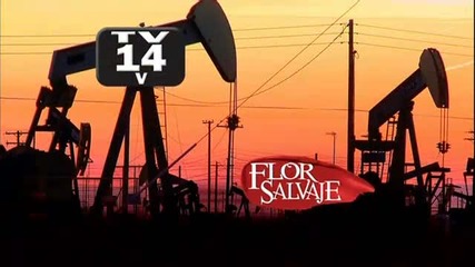 Flor Salvaje Capitulo 54 parte 1
