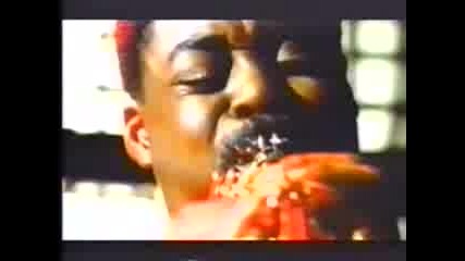 Various Artists - Perfect Day