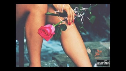 Bulgarian Rose
