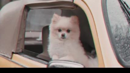 Osman Аltun and Regard - Break my heart (official music video) new 2019