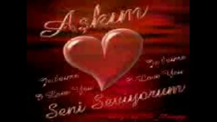 Seni Seviyorum