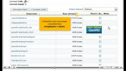 Using the Disk Usage Viewer by www.vivahost.com