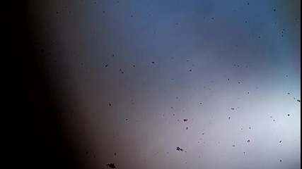 моята стая