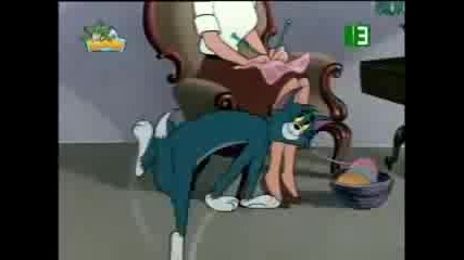 Tom and Jerry - Photo Finish