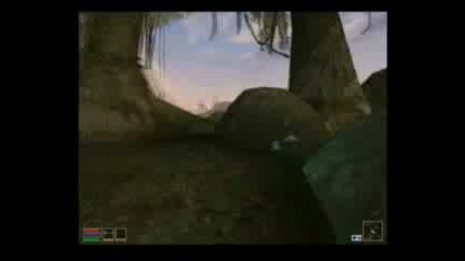 Tes:3 Morrowind - Ревю На Играта