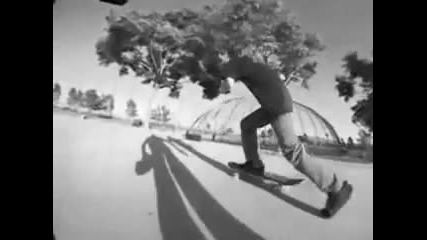 padaniq na ryan sheckler