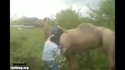 мъж пада от камила