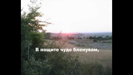 Сънища светли