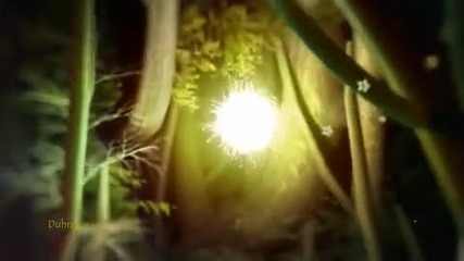 Loving Your Light ..
