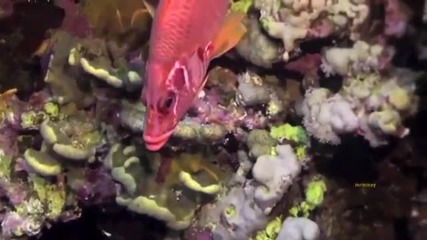 * Тайланд * Остров Ko Lipe в Андаманско Море