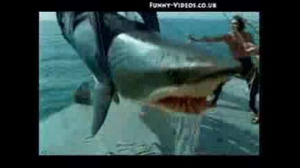 Акула изплюва човек !!!!