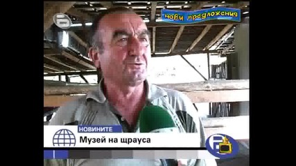 Щраусовете Бойко И Слави