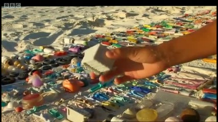 Plastic swallowed by albatrosses in the Pacific ocean - Hawaii Message in the Waves - Bbc 